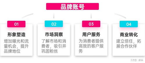 TikTok跨境出海 解锁品牌全球增长的新引擎